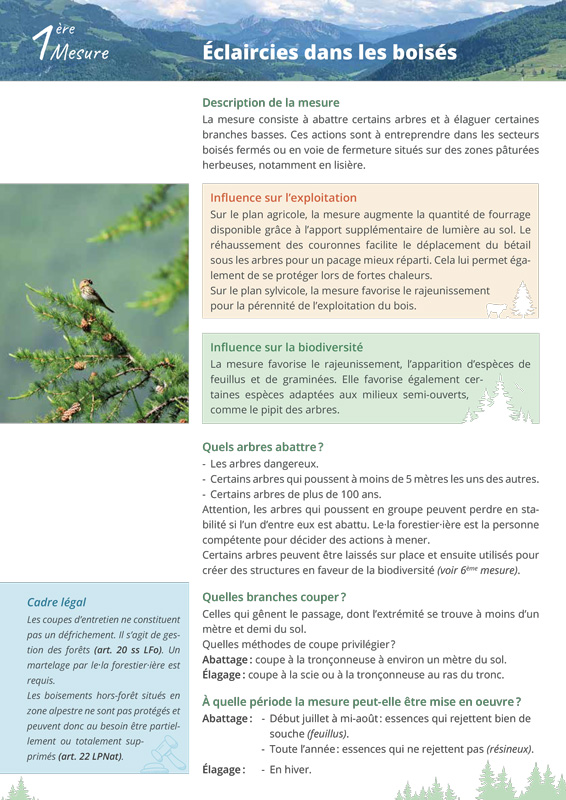 Extrait de la 1ère fiche